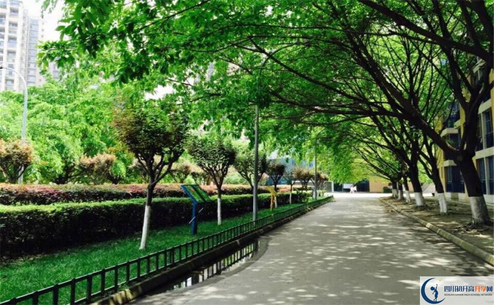 成都七中實(shí)驗(yàn)學(xué)校自主招生條件是什么？