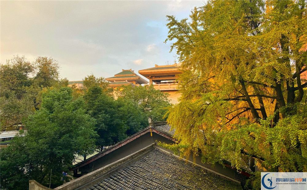 成都石室中學(xué)位置在哪里？