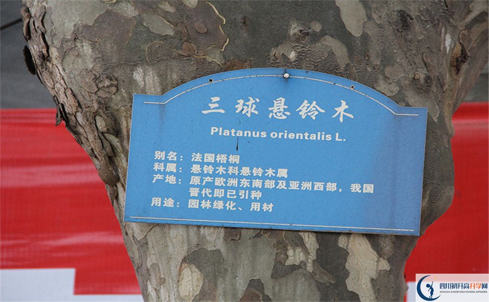 2020成都市第四十九中學(xué)高考重點(diǎn)大學(xué)升學(xué)率高嗎？