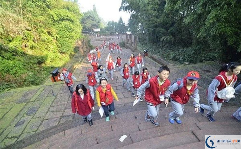 成都市泡桐樹中學(xué)和樹德中學(xué)誰好？