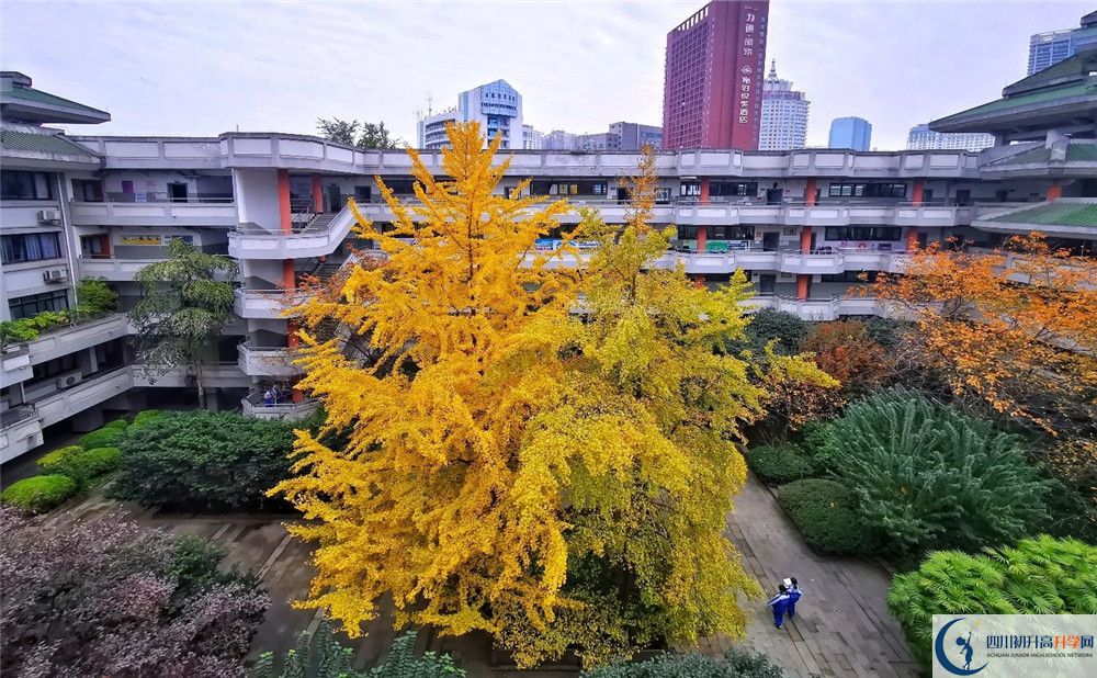 成都市泡桐樹中學(xué)2020年全國排名？