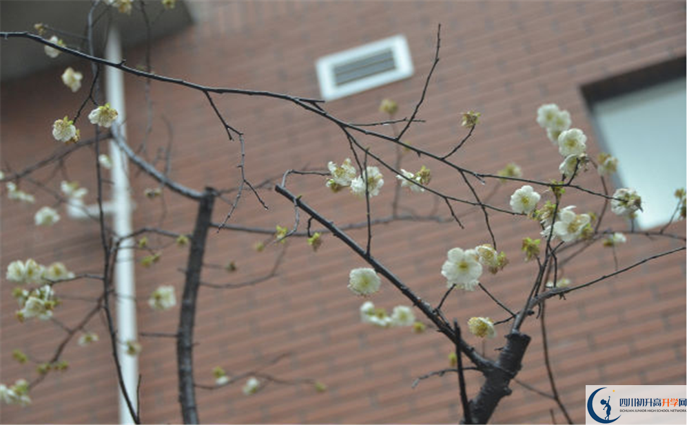 成都市華陽中學(xué)是私立還是公立學(xué)校？