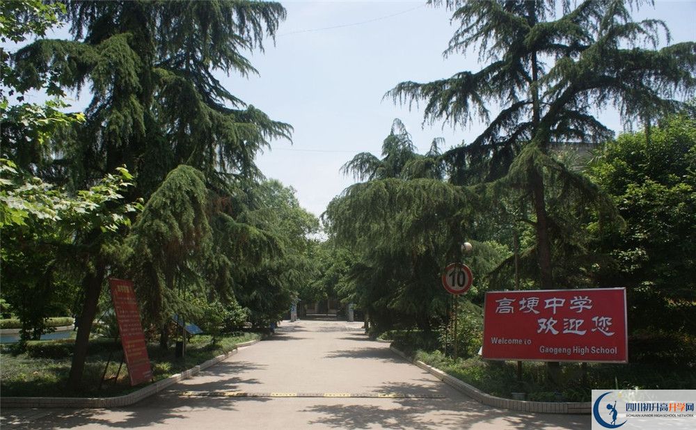 2020高埂中學(xué)高考重點大學(xué)升學(xué)率是多少？