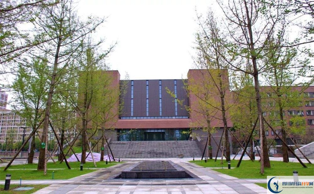 2020電子科技大學(xué)實(shí)驗(yàn)中學(xué)初升高分班考試題難嗎？