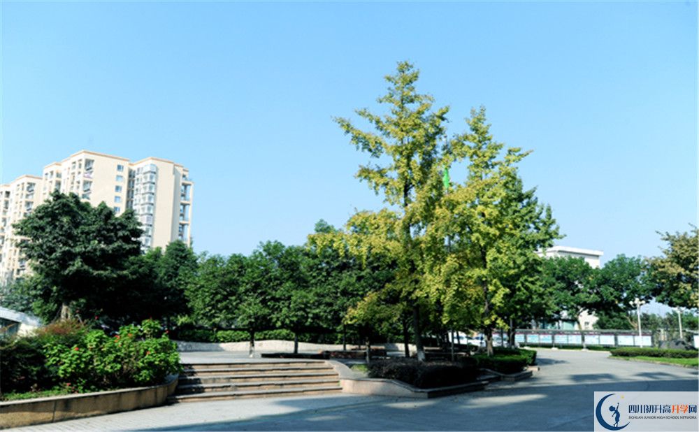 2020成都棠湖外國(guó)語(yǔ)學(xué)校期末試卷數(shù)學(xué)在哪里看？