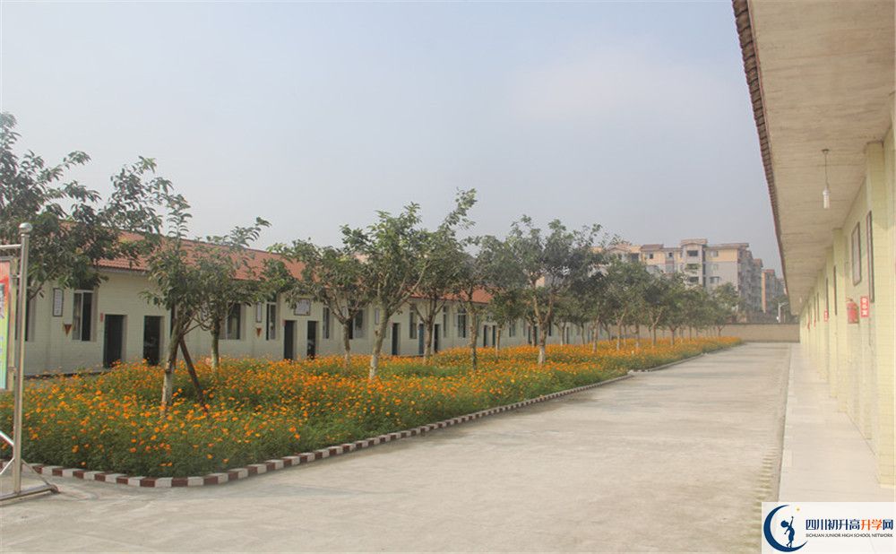 強項實驗中學(xué)在全國高中排名多少？