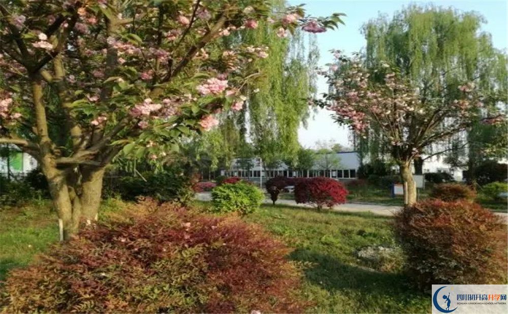 四川師范大學(xué)附屬第三實(shí)驗(yàn)中學(xué)實(shí)驗(yàn)班人數(shù)是多少？