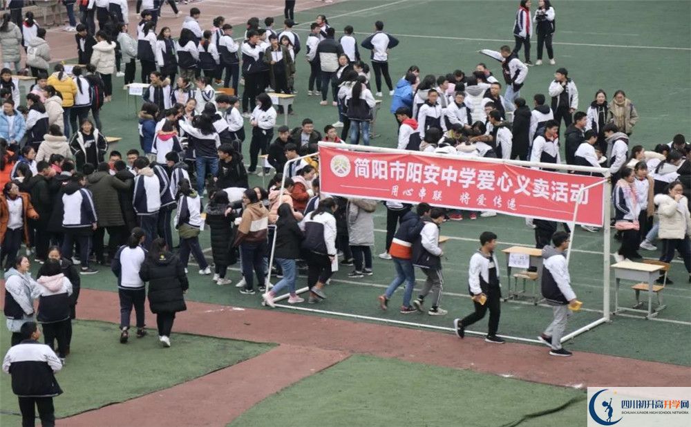2020陽安中學平行班升學率是多少？