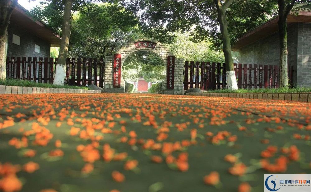 成都七中高新校區(qū)平行班中考重點(diǎn)率是多少？