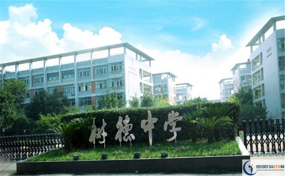 成都樹德中學(xué)光華校區(qū)補課嗎？