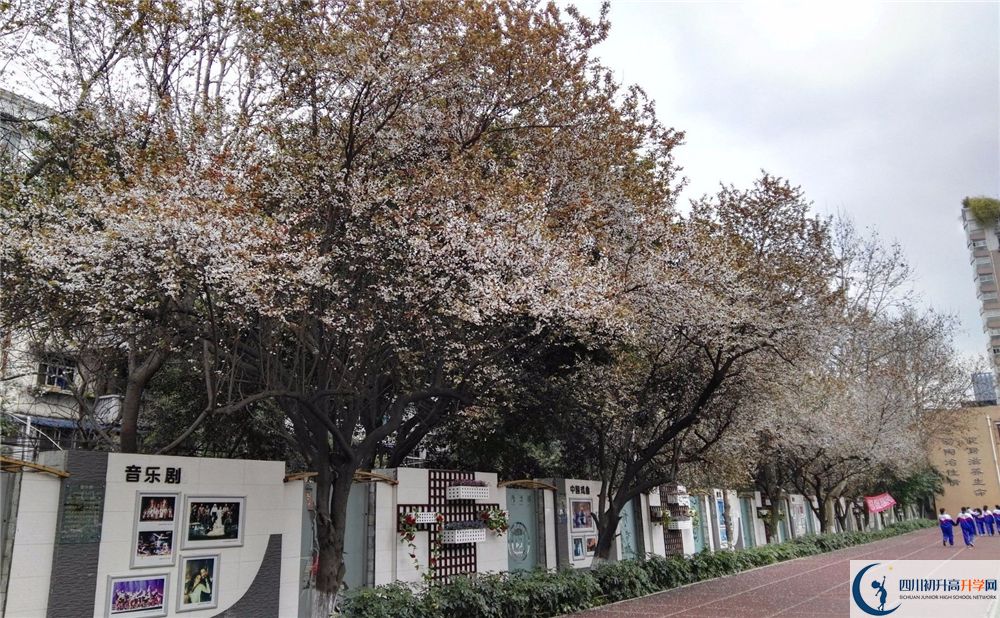 2020年成都大學附屬中學軍訓時間安排在哪看？