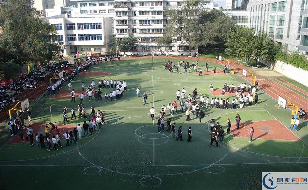 樹德博瑞實驗學校在校學生總?cè)藬?shù)是多少？