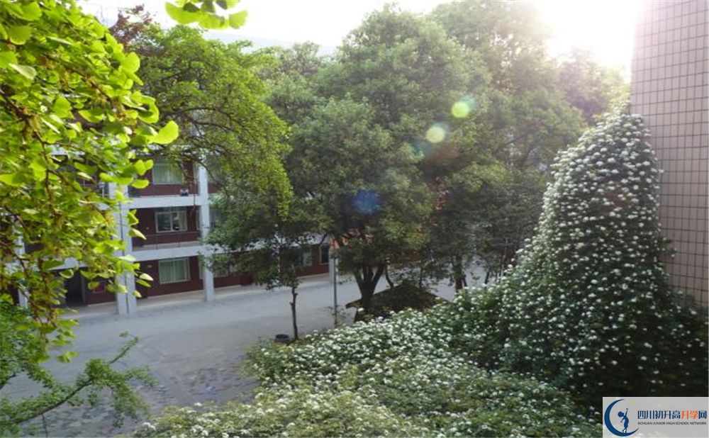 2020石室聯(lián)合中學(xué)蜀華分校二診數(shù)學(xué)試題答案在哪看？