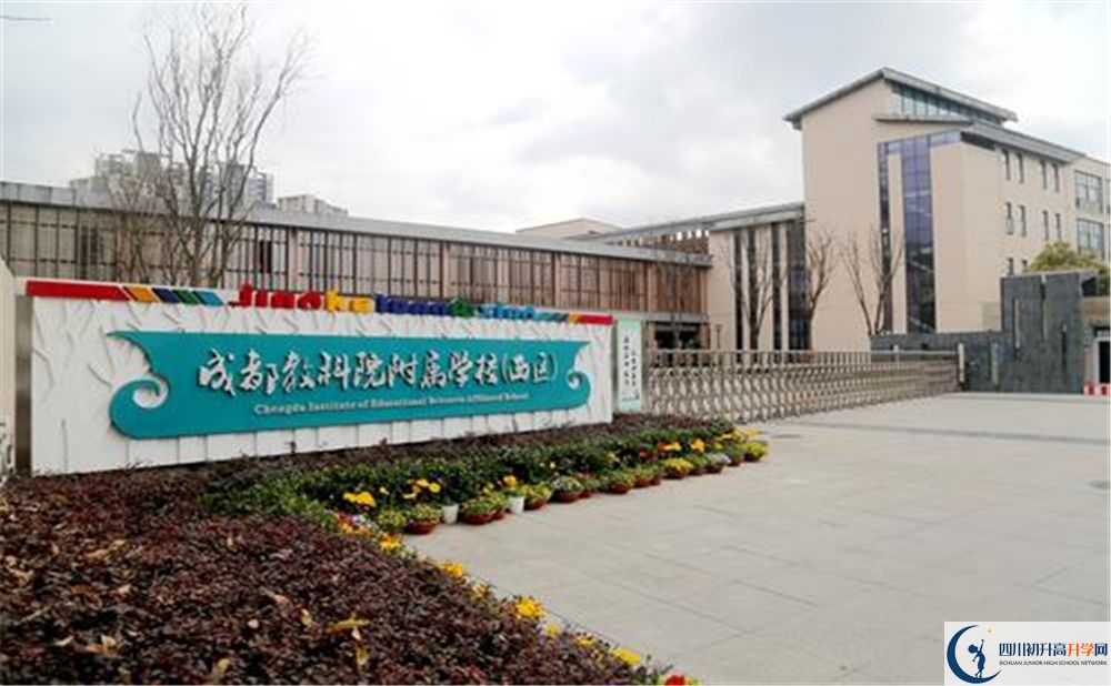 成都教科院附屬學(xué)校2020年高考人數(shù)是多少？