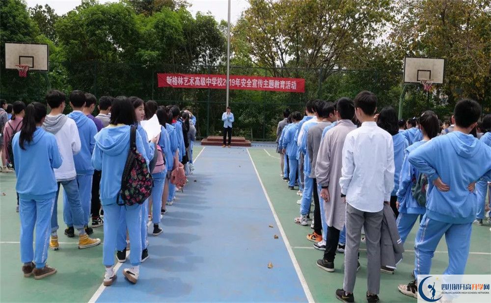 新格林藝術高級中學校2020年高考人數(shù)是多少？