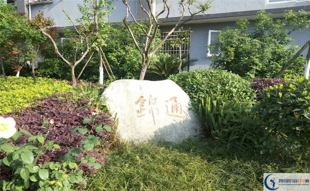 通錦中學(xué)2020年開(kāi)學(xué)時(shí)間安排是怎樣的？