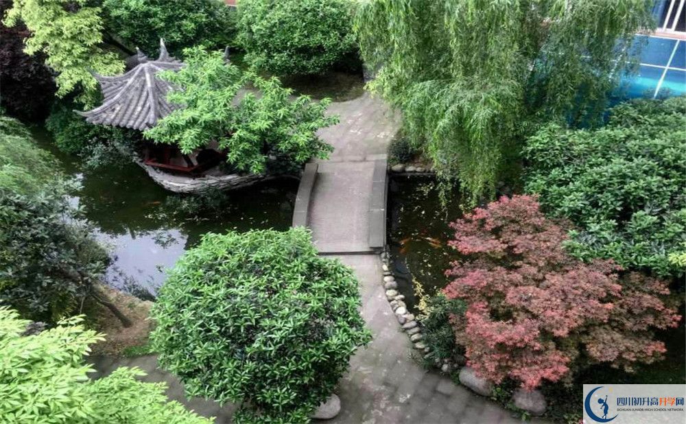成都八中今年的錄取條件是否有變化？
