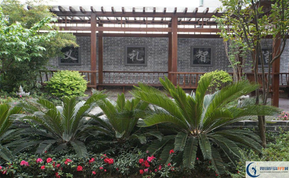 成都八中高三診斷考試時(shí)間怎么安排？
