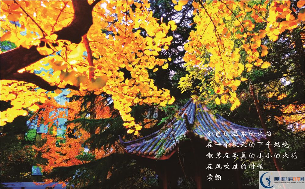 成都七中2020暑假放假時間安排？