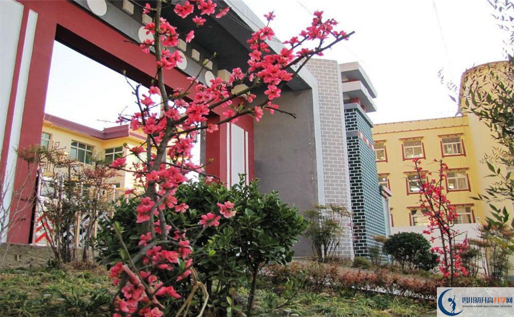 金川中學(xué)今年的錄取條件是否有變化？