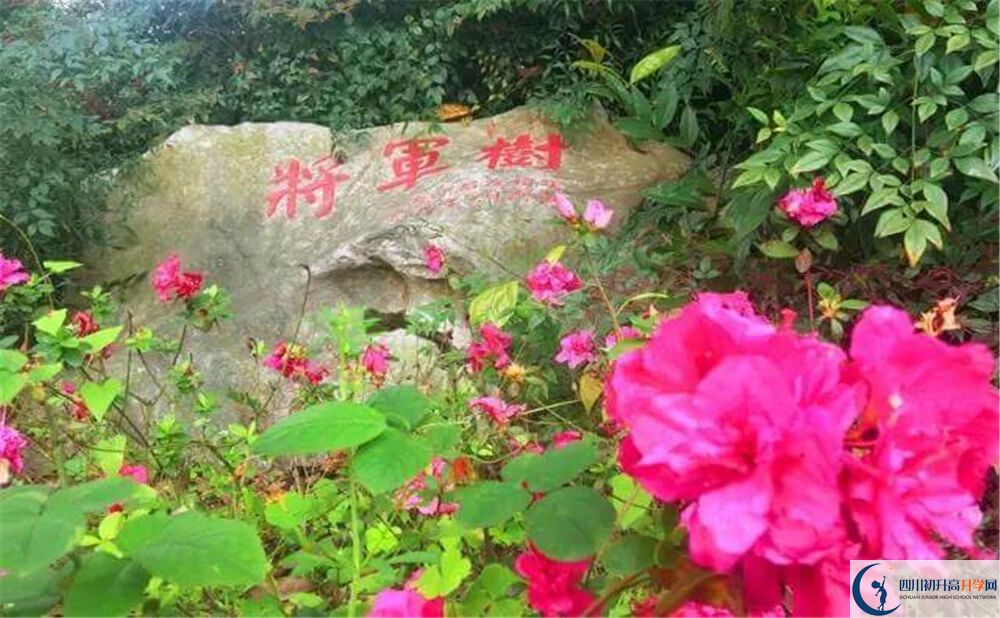 2020遂寧中學(xué)外國語實驗學(xué)校初升高錄取線是否有調(diào)整？