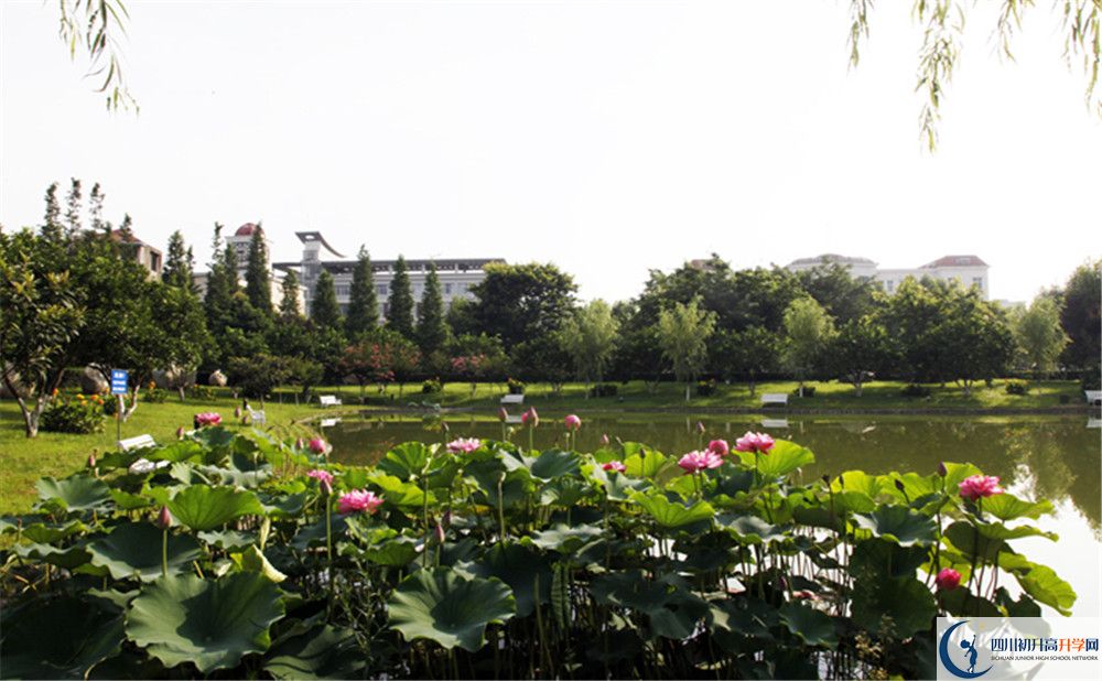 2020鄰水縣九龍中學初升高錄取分數(shù)線是否有調(diào)整？