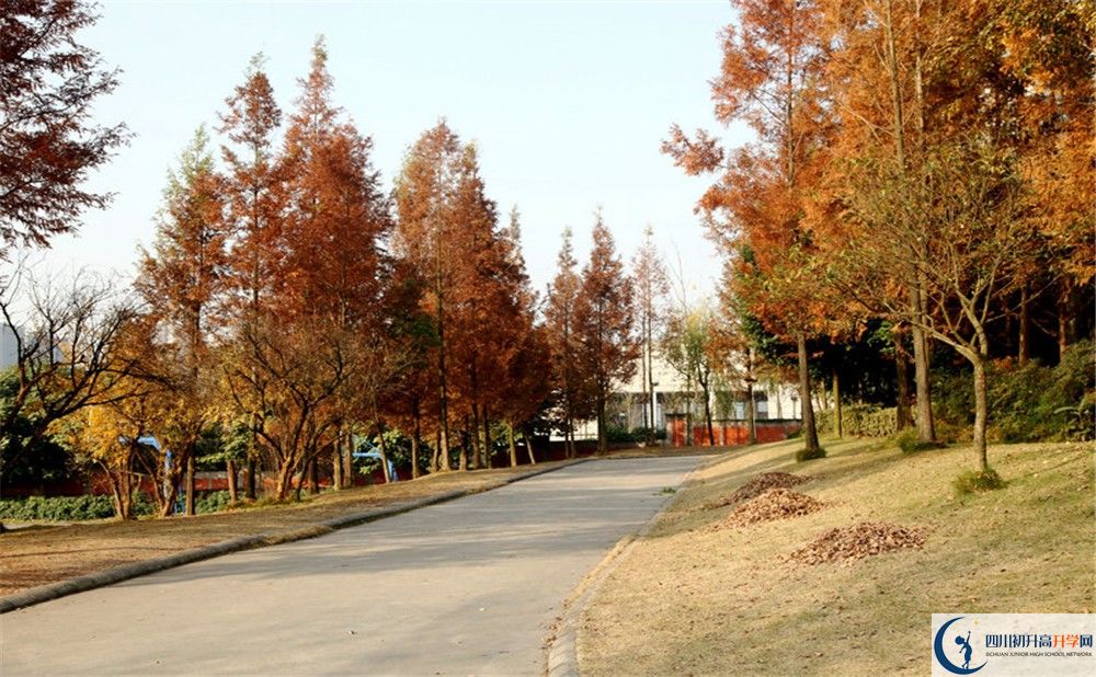 2020年成都實驗外國語學(xué)校西區(qū)住宿條件怎么樣？