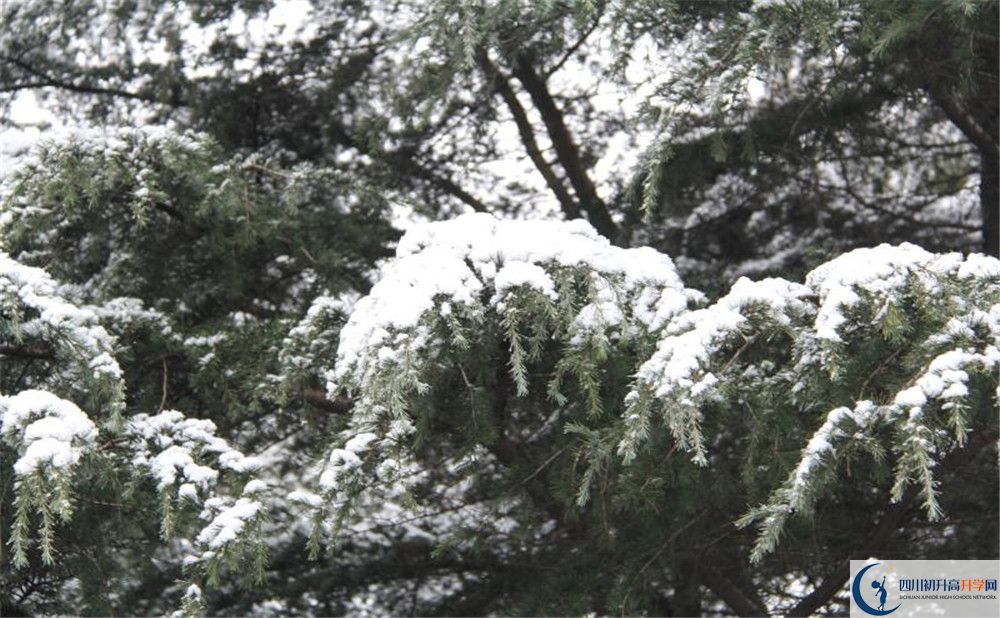 樹德博瑞實(shí)驗(yàn)學(xué)校電話號碼是多少？