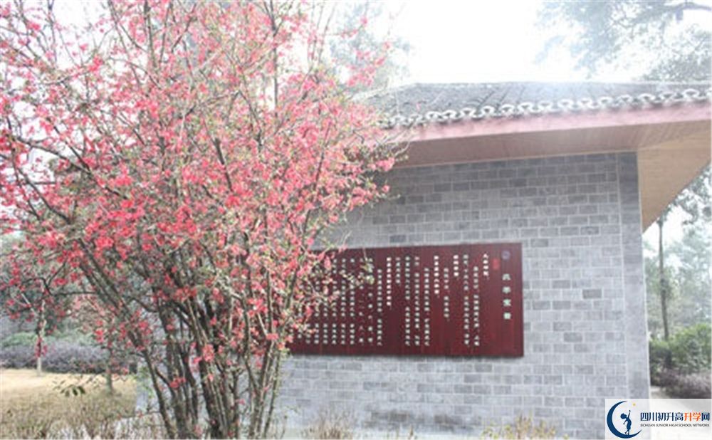 彭州中學(xué)2020年排名高不高？