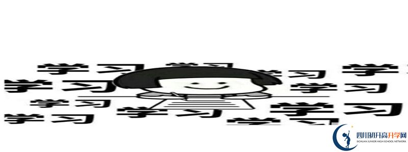 成都外國語學(xué)校和成都美視國際學(xué)校哪個(gè)好？