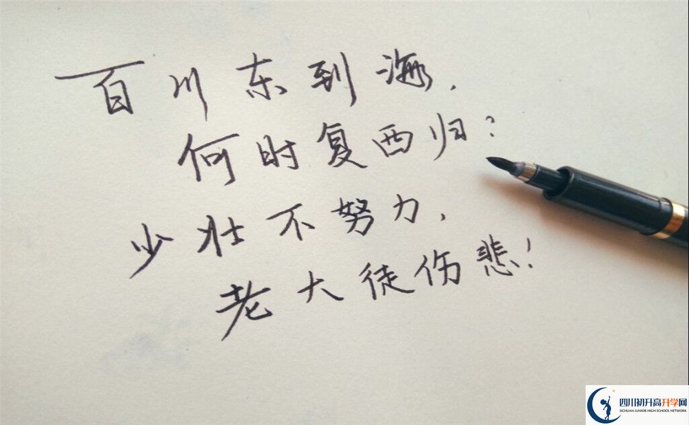 2023年成都市新津區(qū)實(shí)驗(yàn)高級(jí)中學(xué)招生計(jì)劃是什么？